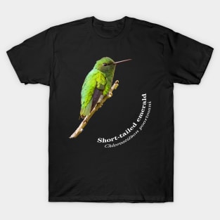 Short-tailed emerald hummingbird against the blue sky T-Shirt